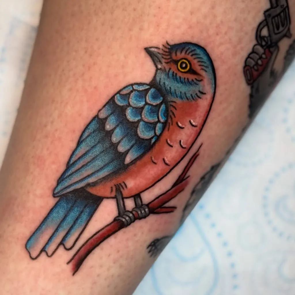 Traditional bluebird perched on a red branch, on a shin